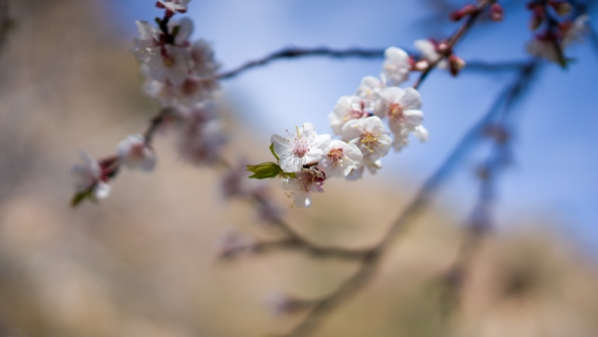 Dem Frühling entgegen März 2018